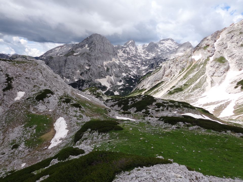 Cesar, 12.07.2014 - foto povečava