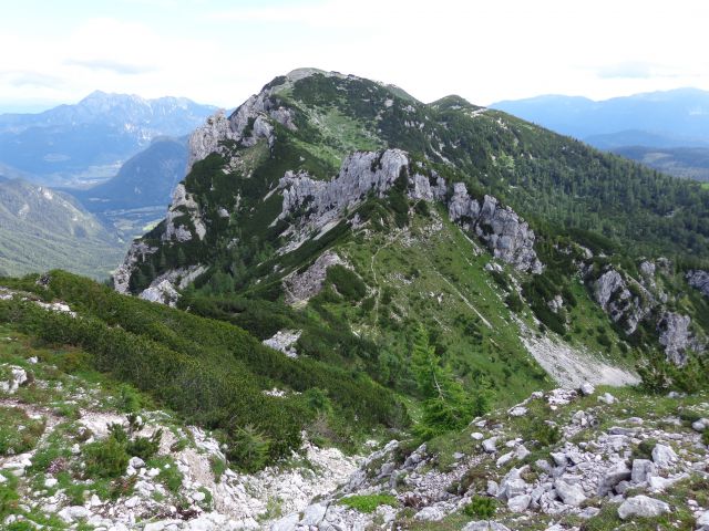 Nad Pokljuko, 15.07.2014 - foto