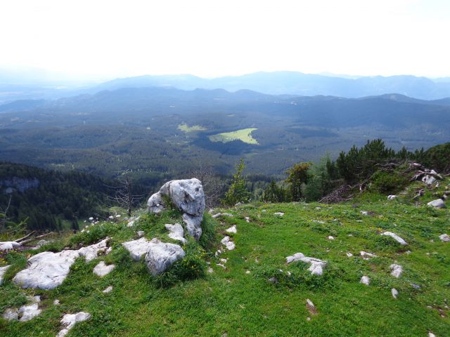 Nad Pokljuko, 15.07.2014 - foto