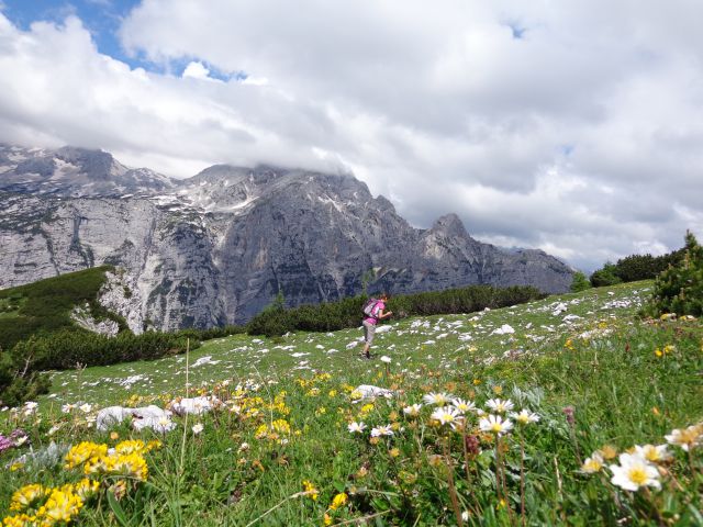 Nad Pokljuko, 15.07.2014 - foto