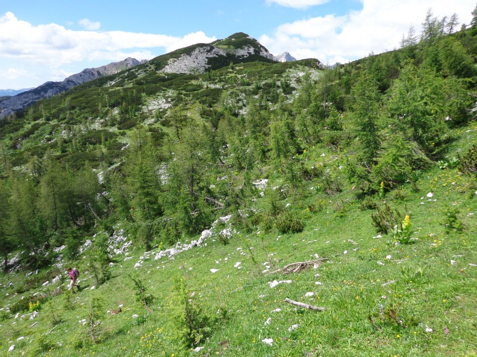 Nad Pokljuko, 15.07.2014 - foto povečava