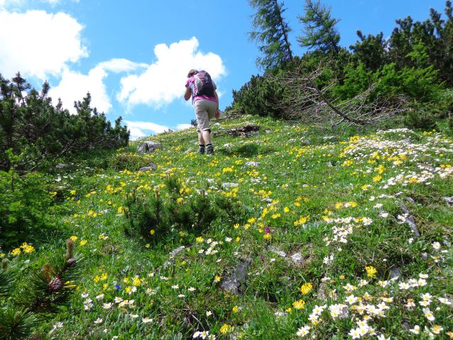 Nad Pokljuko, 15.07.2014 - foto