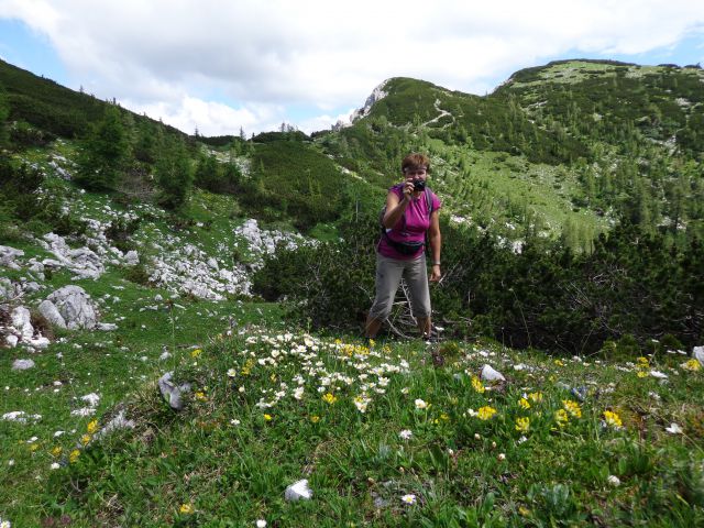 Nad Pokljuko, 15.07.2014 - foto