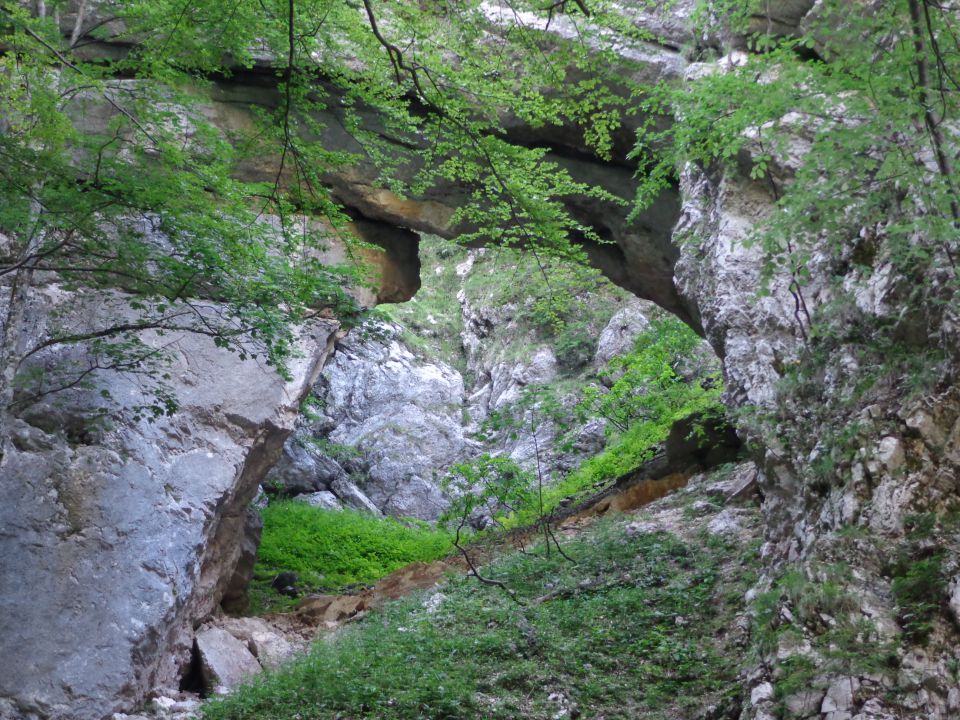 Šraj peski - Korošica, 19.07.2014 - foto povečava