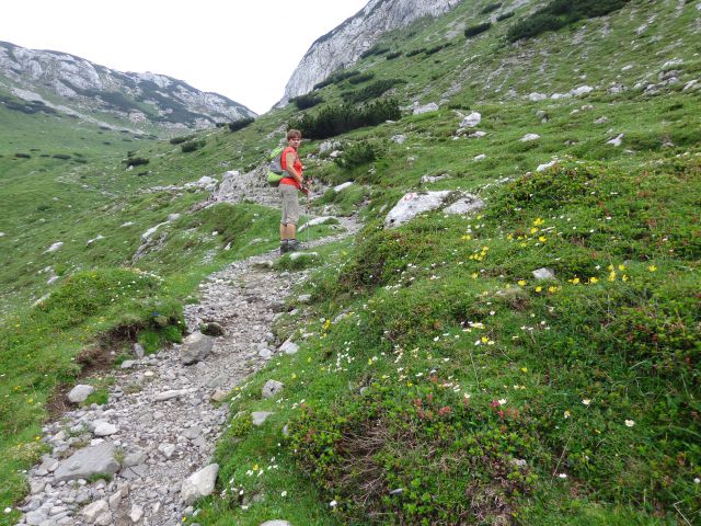 Šraj peski - Korošica, 19.07.2014 - foto