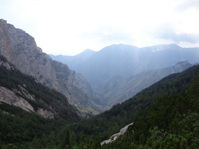 Šraj peski - Korošica, 19.07.2014 - foto