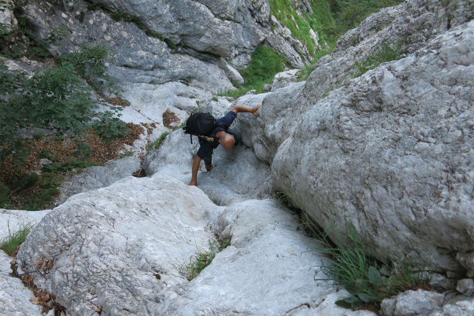 Šraj peski - Korošica, 19.07.2014 - foto povečava