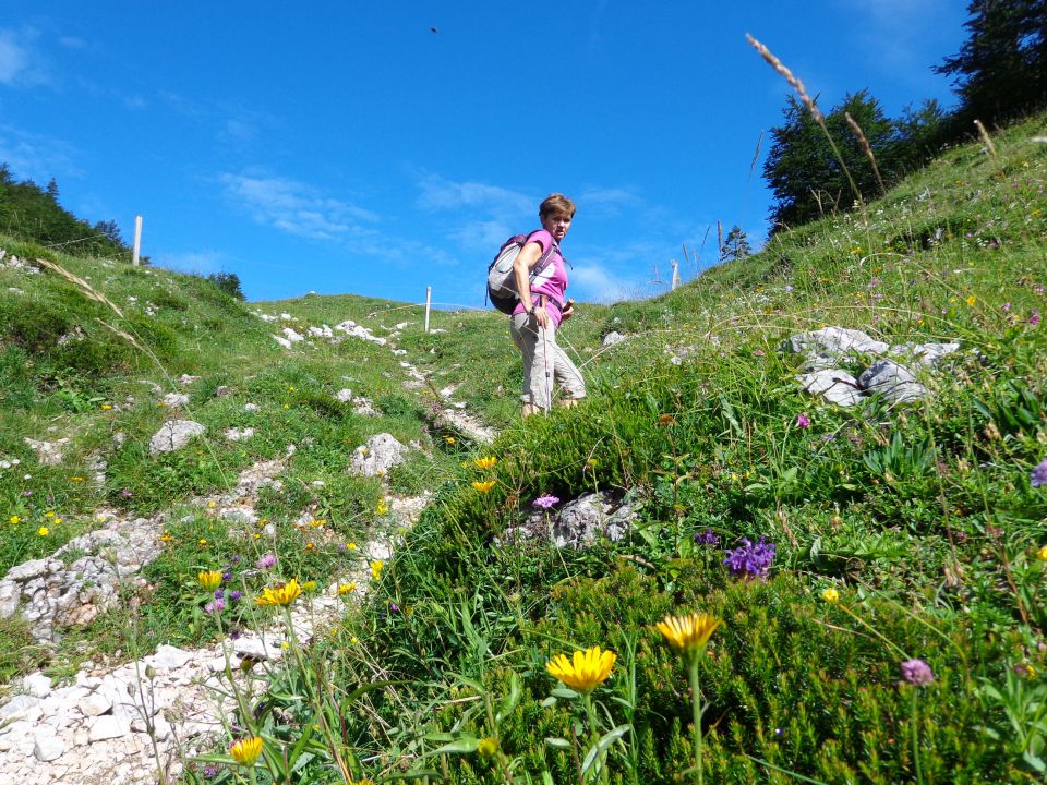 Kosmati in Goli, 01.08.2014 - foto povečava