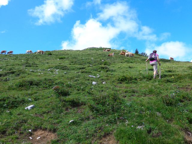 Kosmati in Goli, 01.08.2014 - foto
