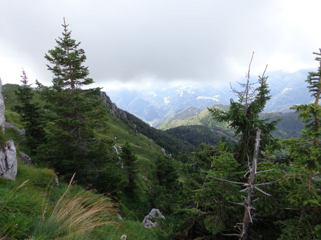 Kosmati in Goli, 01.08.2014 - foto