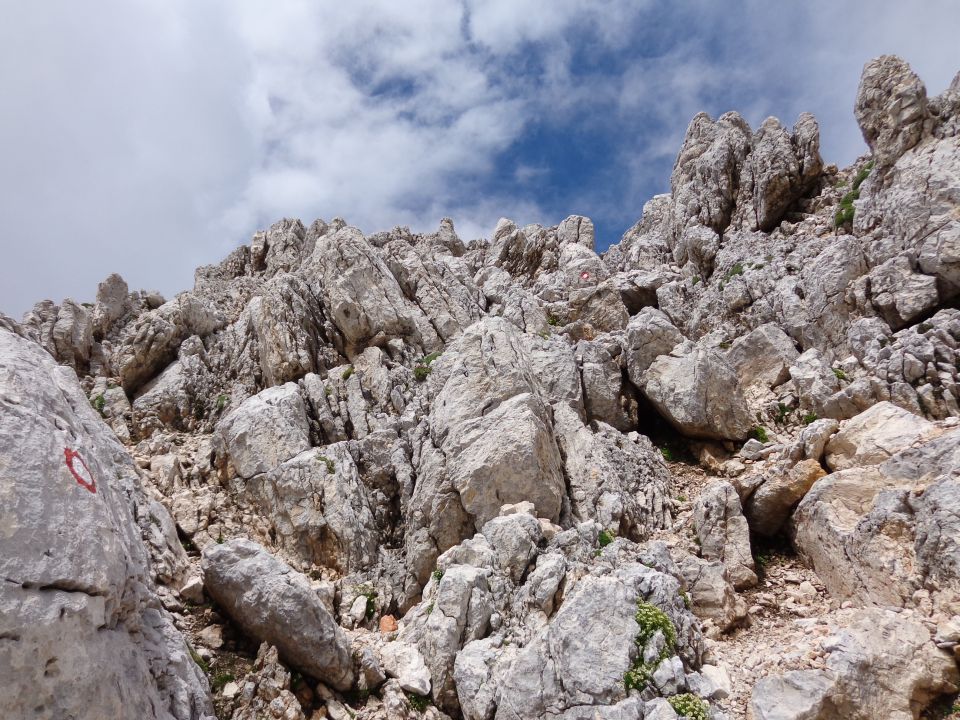 Škrlatica, 07.08.2014 - foto povečava