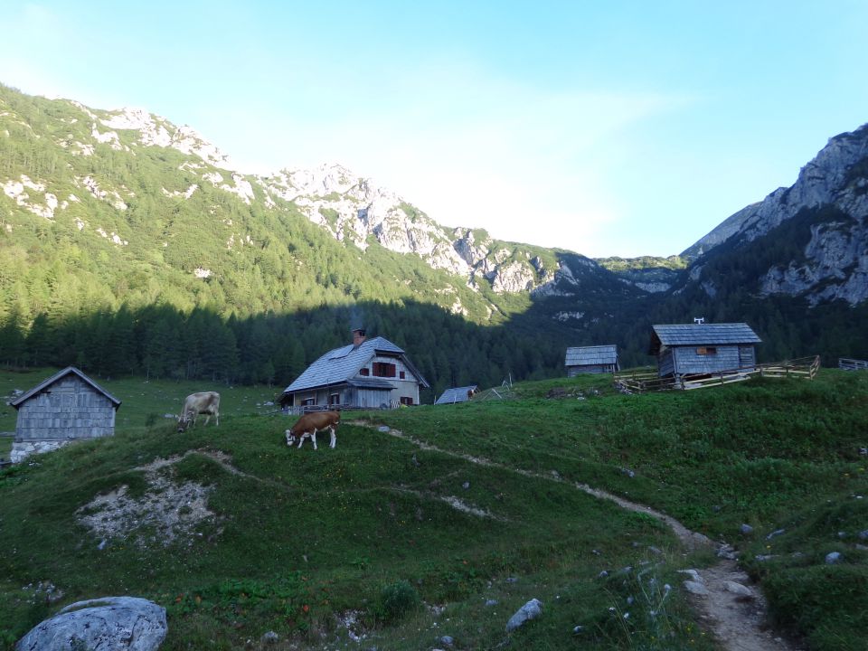 Škednjovec, 10.08.2014 - foto povečava