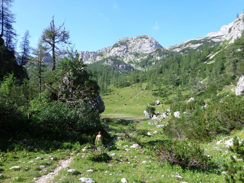 Škednjovec, 10.08.2014 - foto povečava