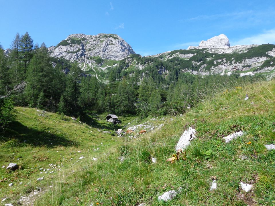 Škednjovec, 10.08.2014 - foto povečava