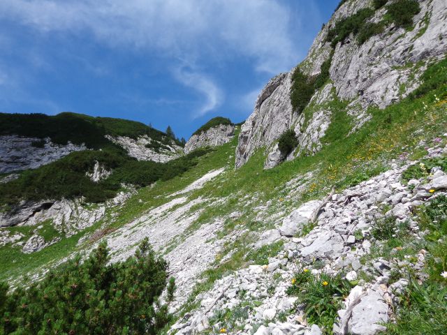 Škednjovec, 10.08.2014 - foto