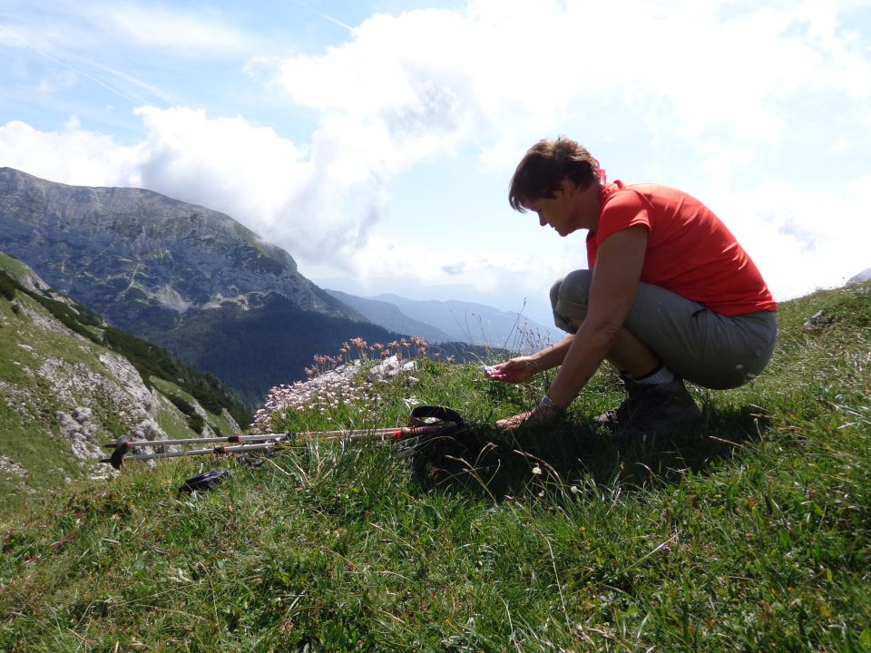 Škednjovec, 10.08.2014 - foto povečava