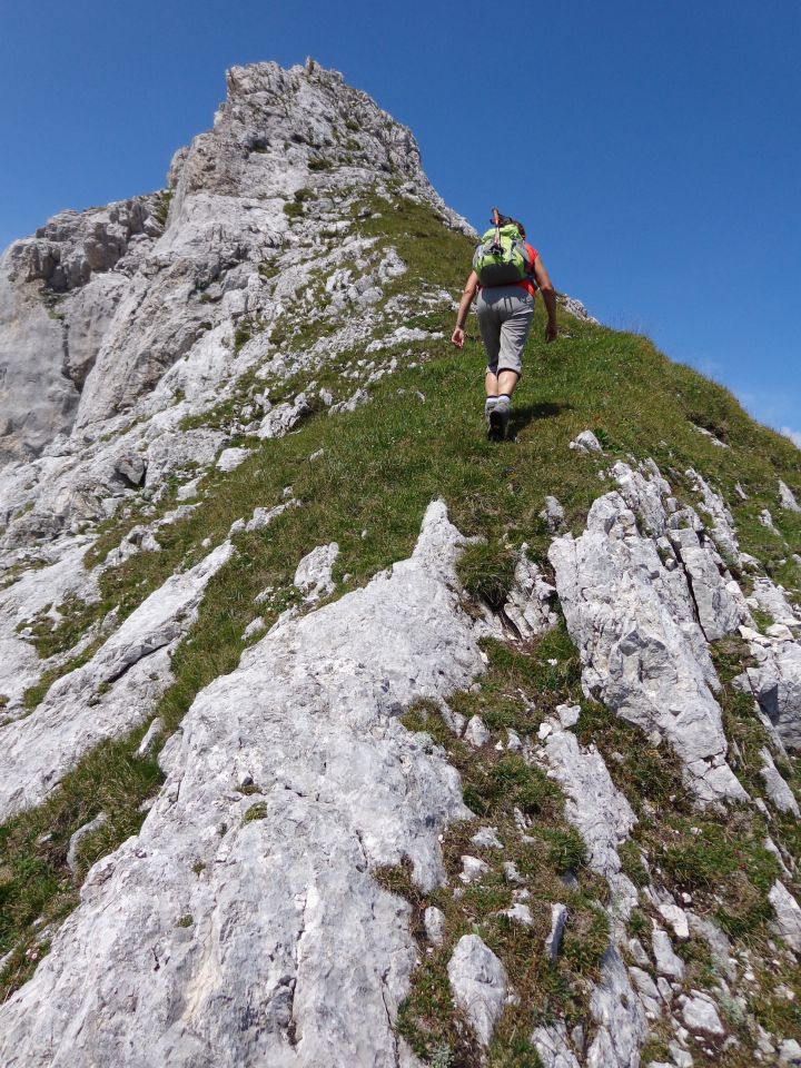 Škednjovec, 10.08.2014 - foto povečava