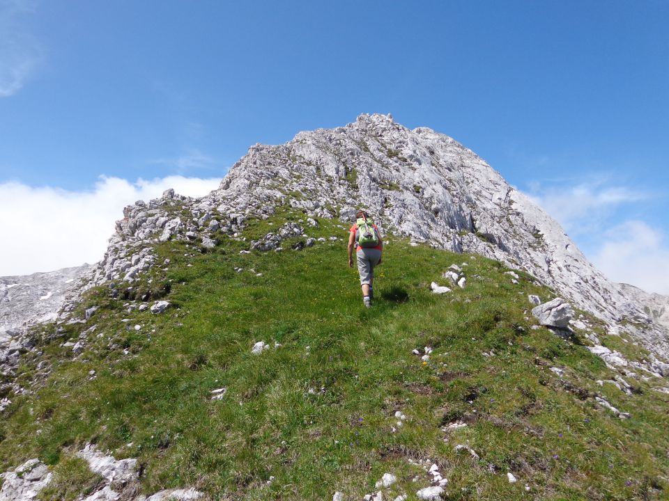 Škednjovec, 10.08.2014 - foto povečava