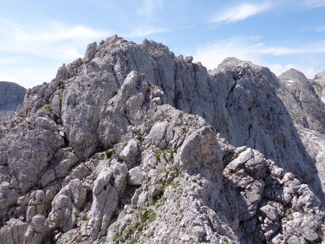 Škednjovec, 10.08.2014 - foto