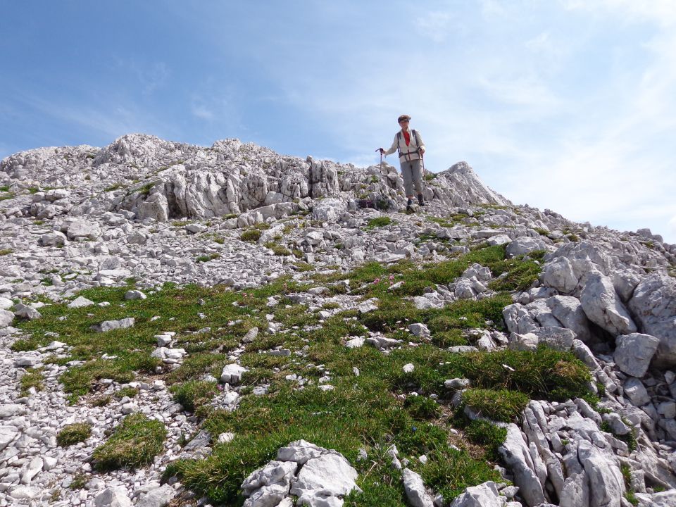 Škednjovec, 10.08.2014 - foto povečava