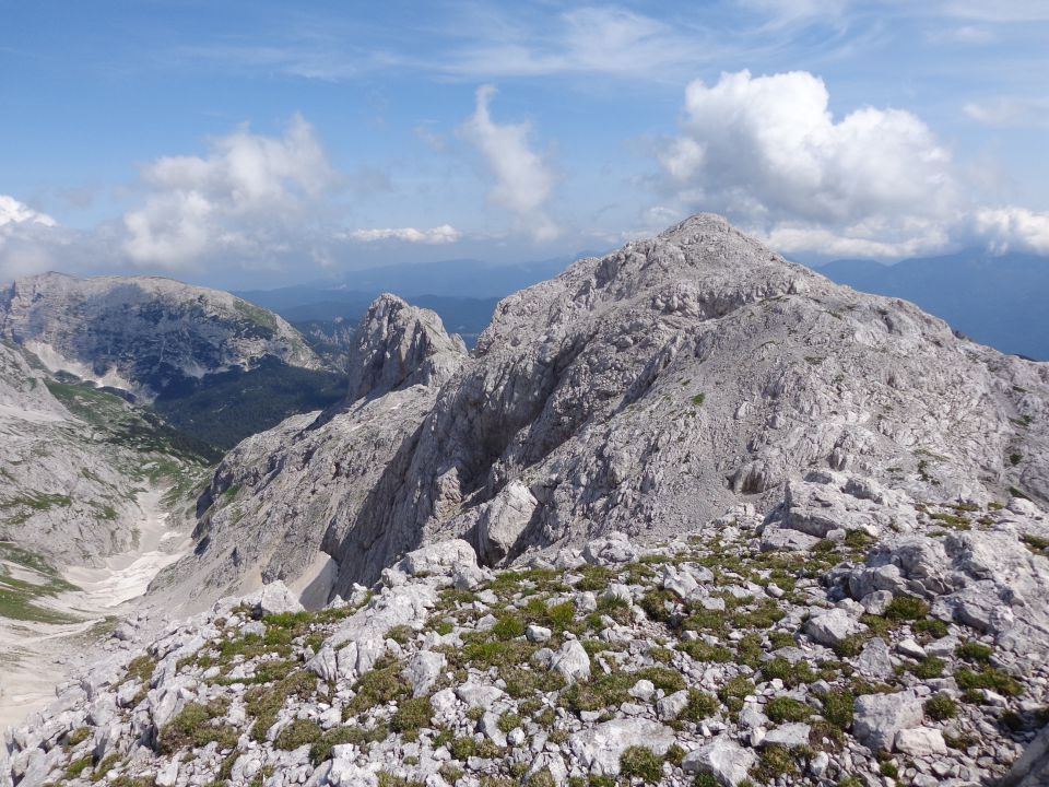 Škednjovec, 10.08.2014 - foto povečava