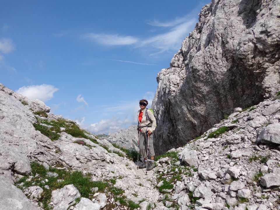 Škednjovec, 10.08.2014 - foto povečava