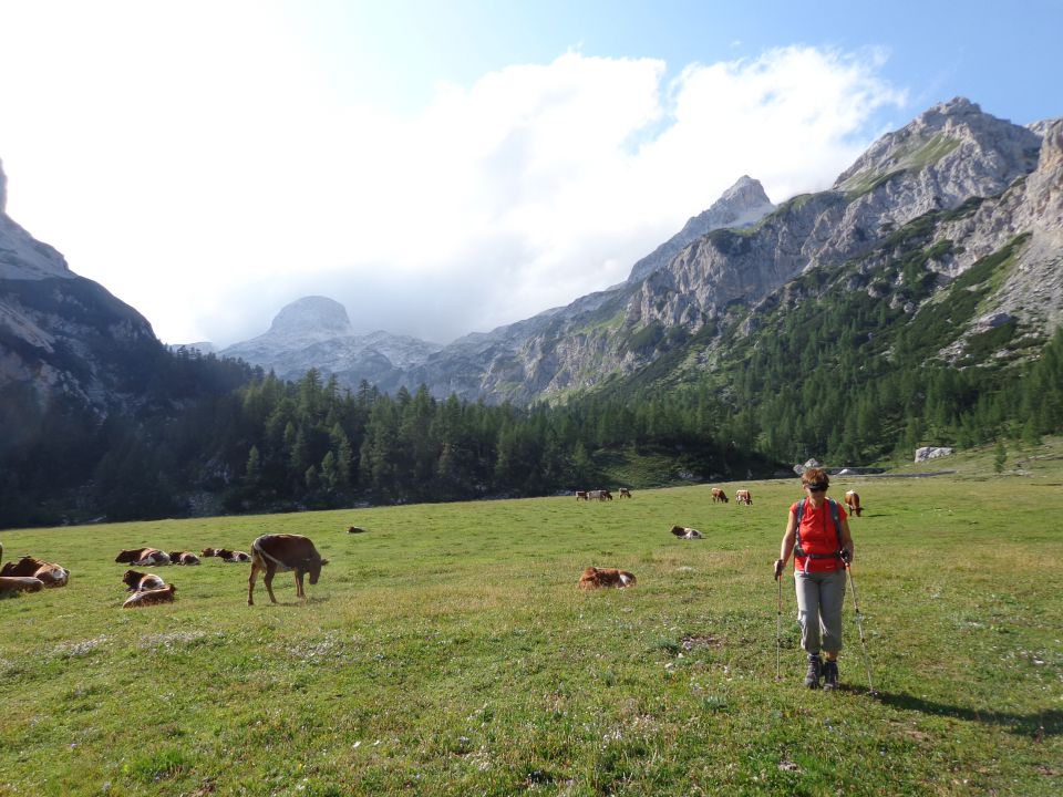 Škednjovec, 10.08.2014 - foto povečava