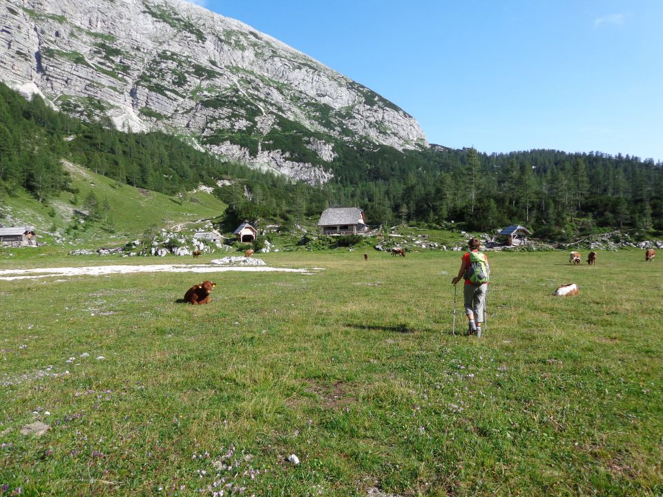 Škednjovec, 10.08.2014 - foto povečava