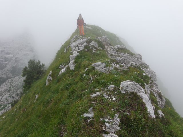 Vogel nad Krnskim j. 18.08.2014 - foto