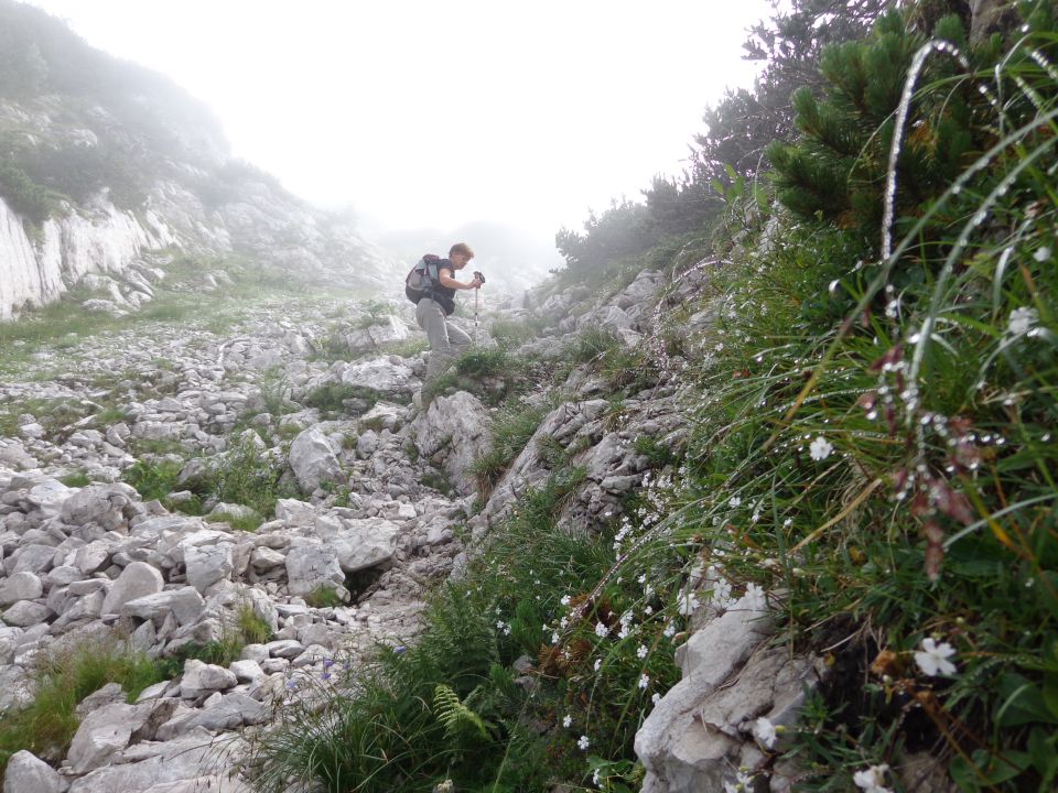 Ledinski vrh, 28.08.2014 - foto povečava