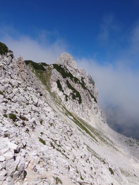 Ledinski vrh, 28.08.2014 - foto