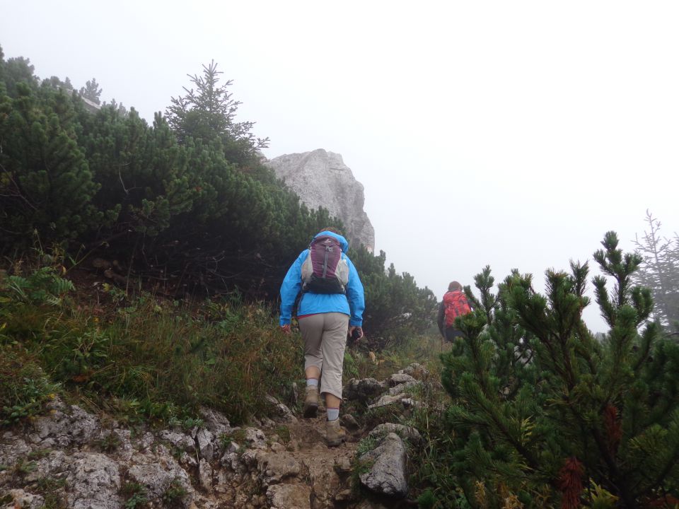 Snežnik, 07.09.2014 - foto povečava