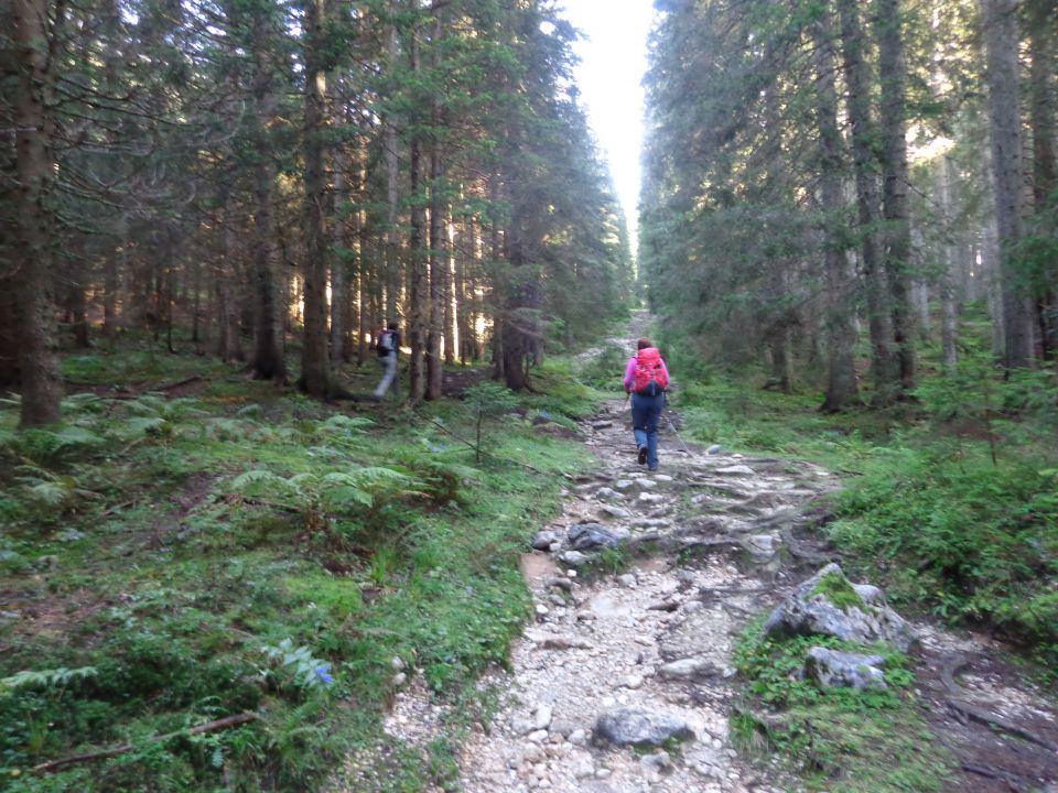 Greben nad Pokljuko, 15.09.2014 - foto povečava