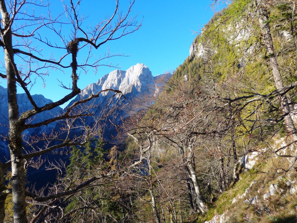 Šplevta, 29.10.2014 - foto povečava