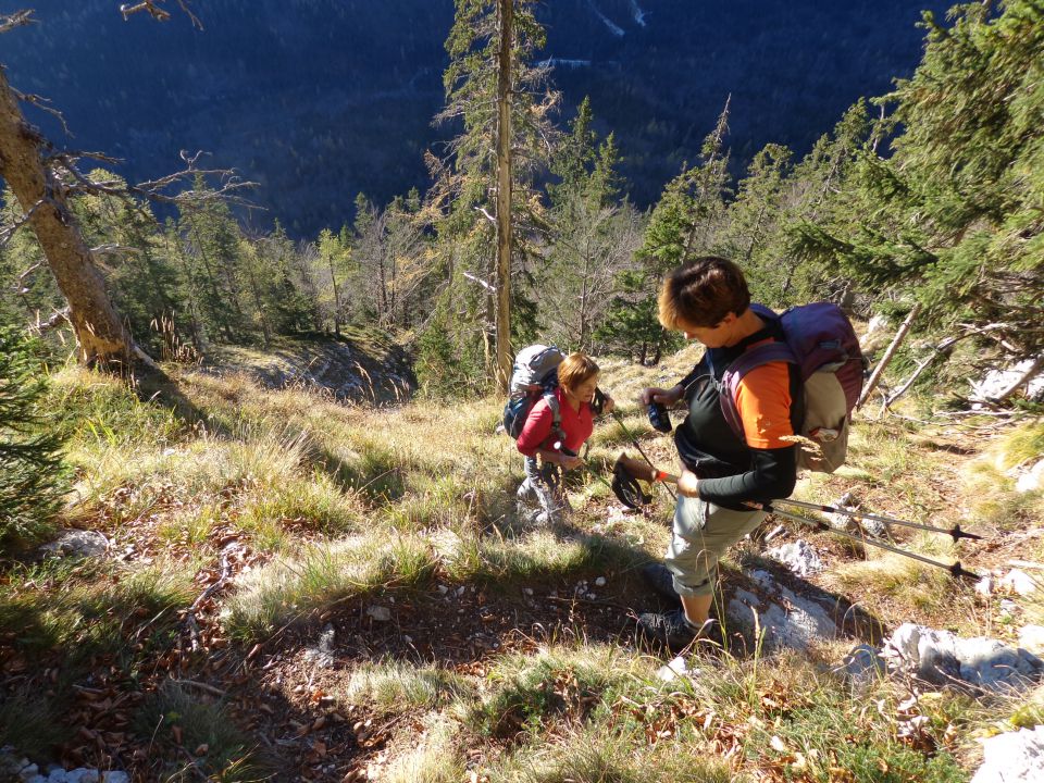 Šplevta, 29.10.2014 - foto povečava