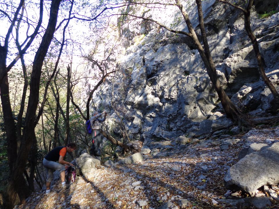 Glinščica, Comicijev greben, 14.11.2014 - foto povečava