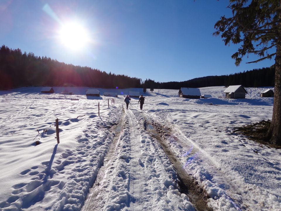 Mrežce, 10.12.2014 - foto povečava