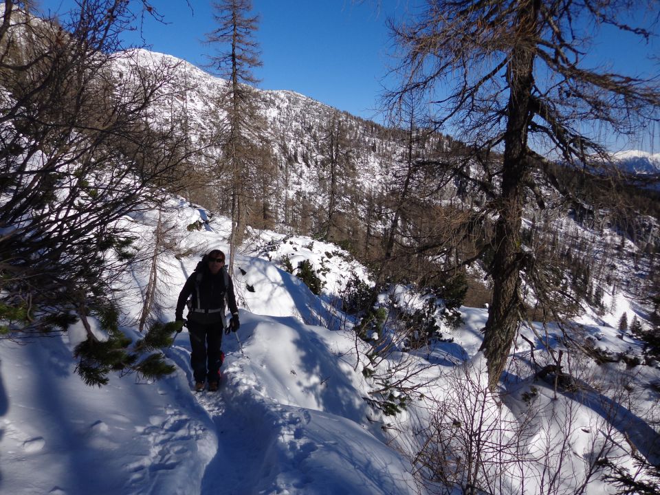 Mrežce, 10.12.2014 - foto povečava