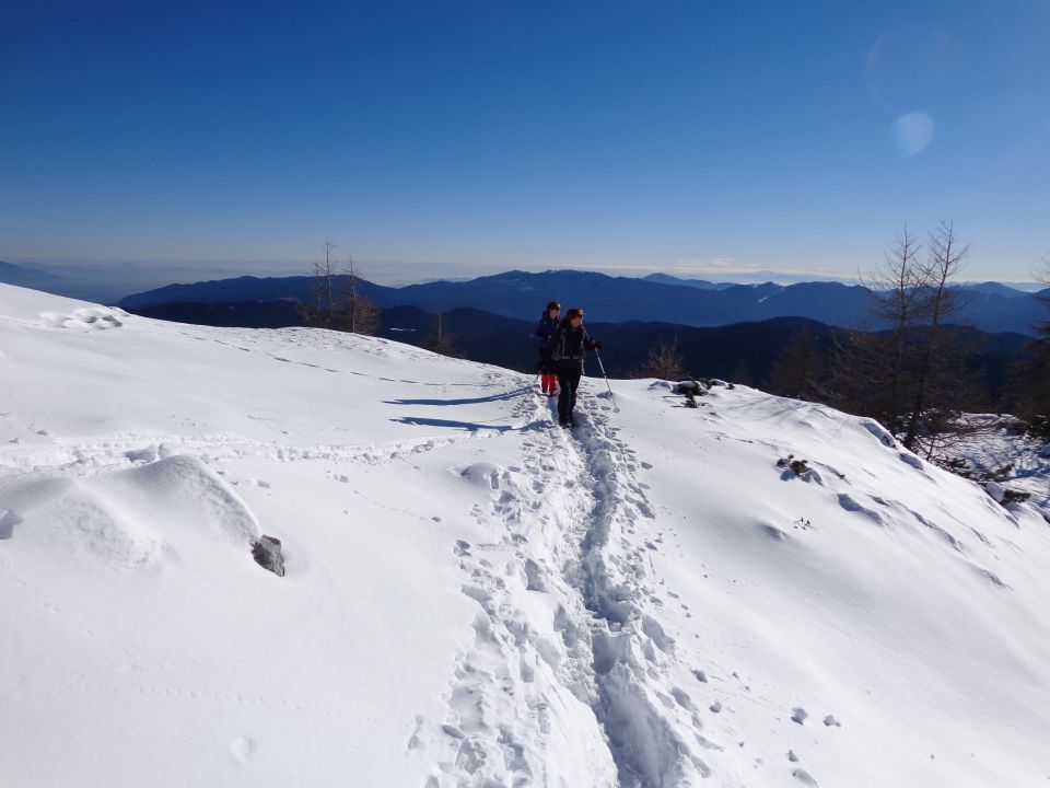 Mrežce, 10.12.2014 - foto povečava