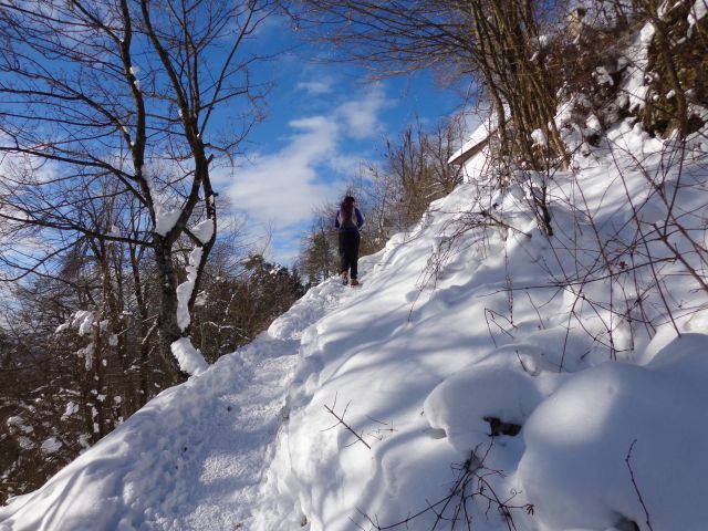 Jošt nad Kranjem, 01.01.2015 - foto