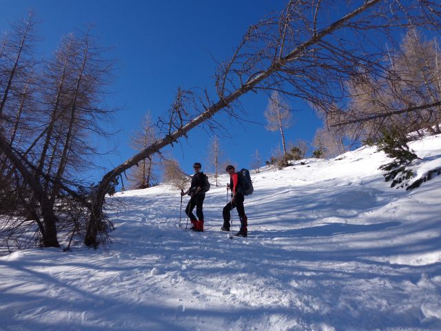 Viševnik, 11.02.2015 - foto