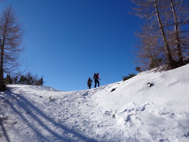 Viševnik, 11.02.2015 - foto