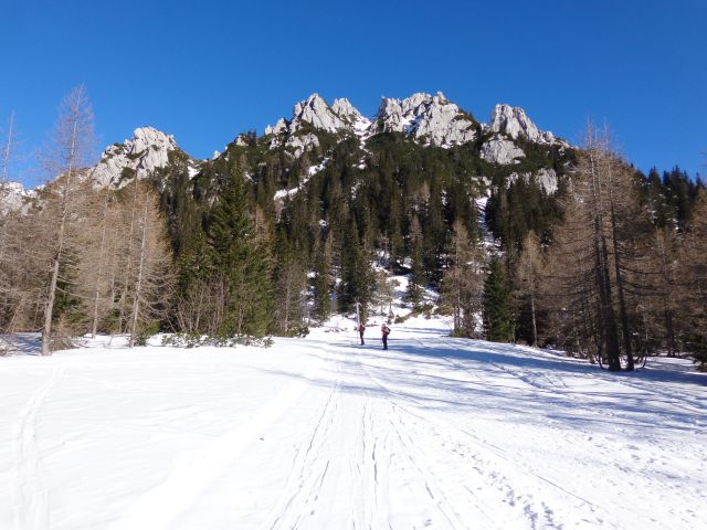 Zelenica - Suho rušje, 20.02.2015 - foto