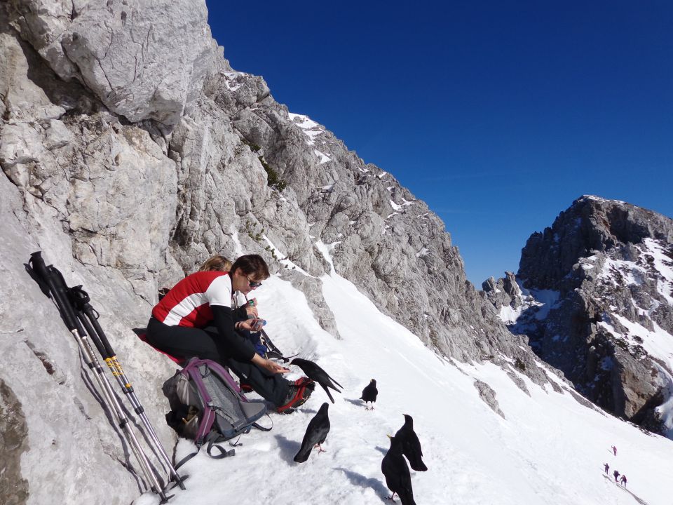 Zelenica - Suho rušje, 20.02.2015 - foto povečava