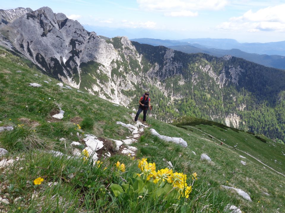 Tosc, Ablanca, 28.05.2015 - foto povečava