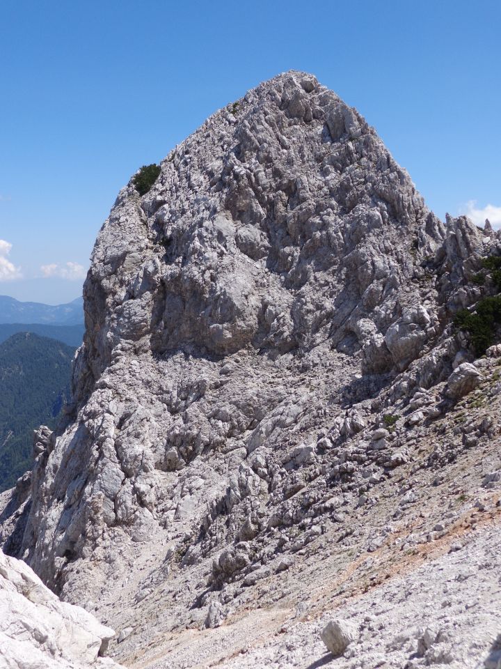 Ledinski vrh, 12.06.2015 - foto povečava