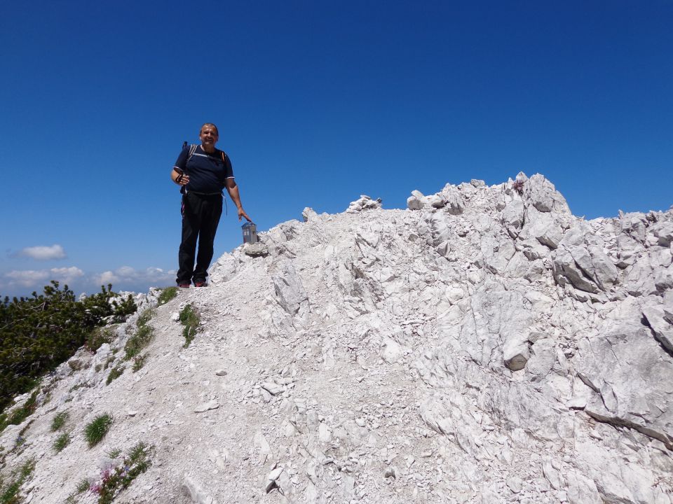 Ledinski vrh, 12.06.2015 - foto povečava