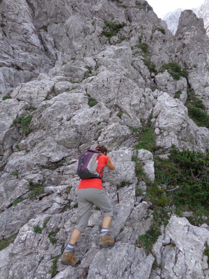 Jezersko-Križ, 21.06.2015 - foto povečava