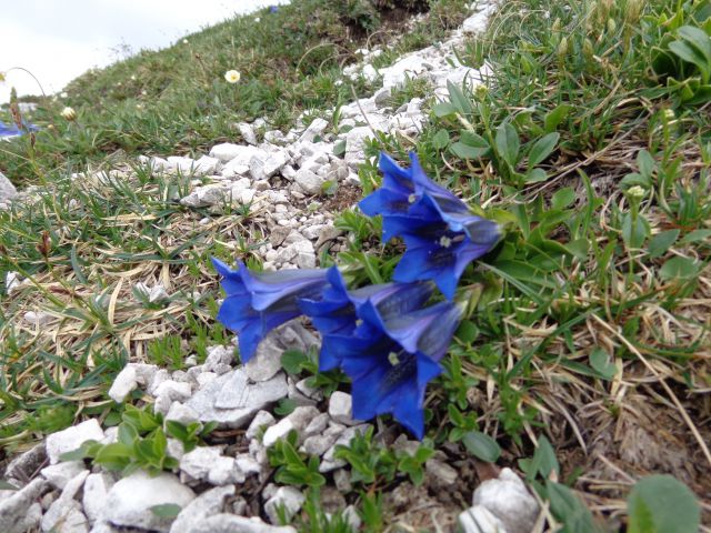 Jezersko-Križ, 21.06.2015 - foto