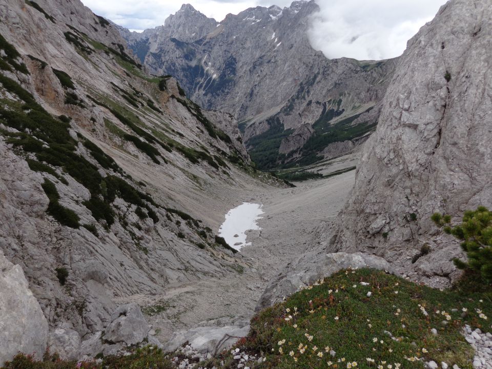 Jezersko-Križ, 21.06.2015 - foto povečava